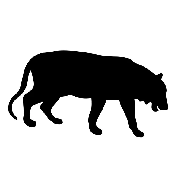 Tiger Vektor Illustration schwarze Silhouette — Stockvektor
