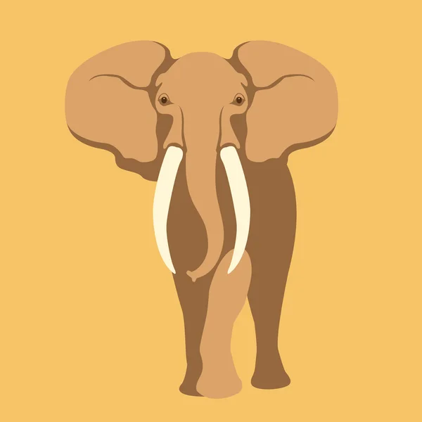 成年大象矢量插画风格平 — 图库矢量图片