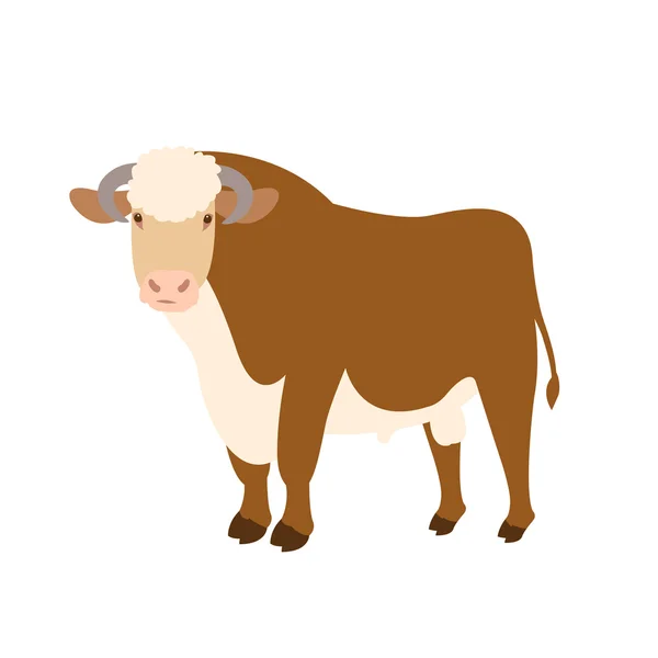 Adult bull vector illustration style Flat — Stock fotografie