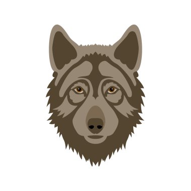 Şekil Stili düz kurt kafası vektör 
