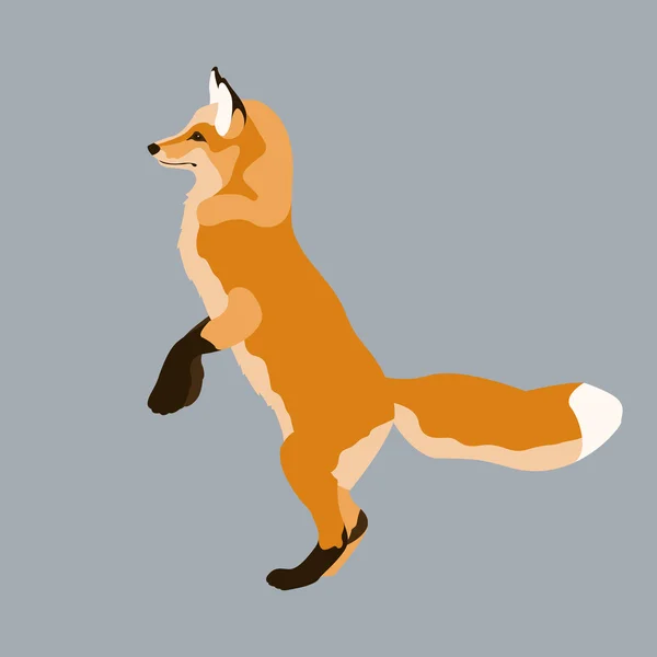 Red fox vector illustration style Flat — Stock Vector
