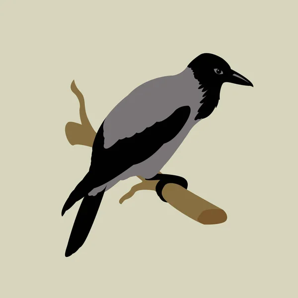 Crow vector ilustración estilo plano — Archivo Imágenes Vectoriales