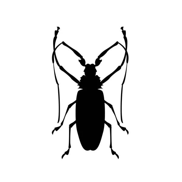 Illustration vectorielle coléoptère silhouette noire — Image vectorielle