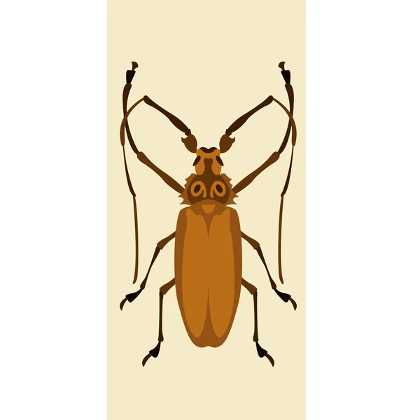 Beetle vector illustration style Flat — Stock Vector