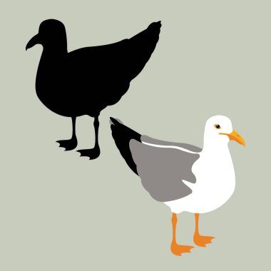 martı vektör çizim tarzı düz set