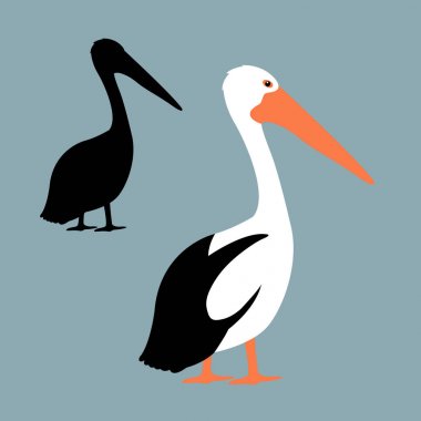 Pelikan illüstrasyon Stil kümesi düz siluet vektör