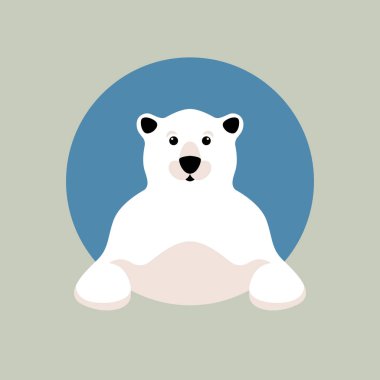 Kutup ayısı baş vektör çizim 