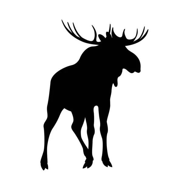 Moose vector ilustração silhueta preta —  Vetores de Stock