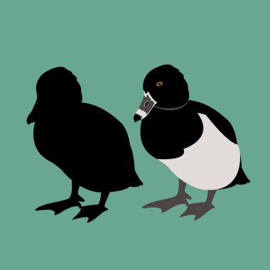 ördek illüstrasyon Stil kümesi düz siluet vektör