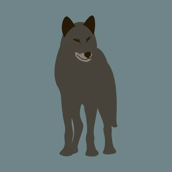 Wolf vector illustration style Flat — Stock Vector