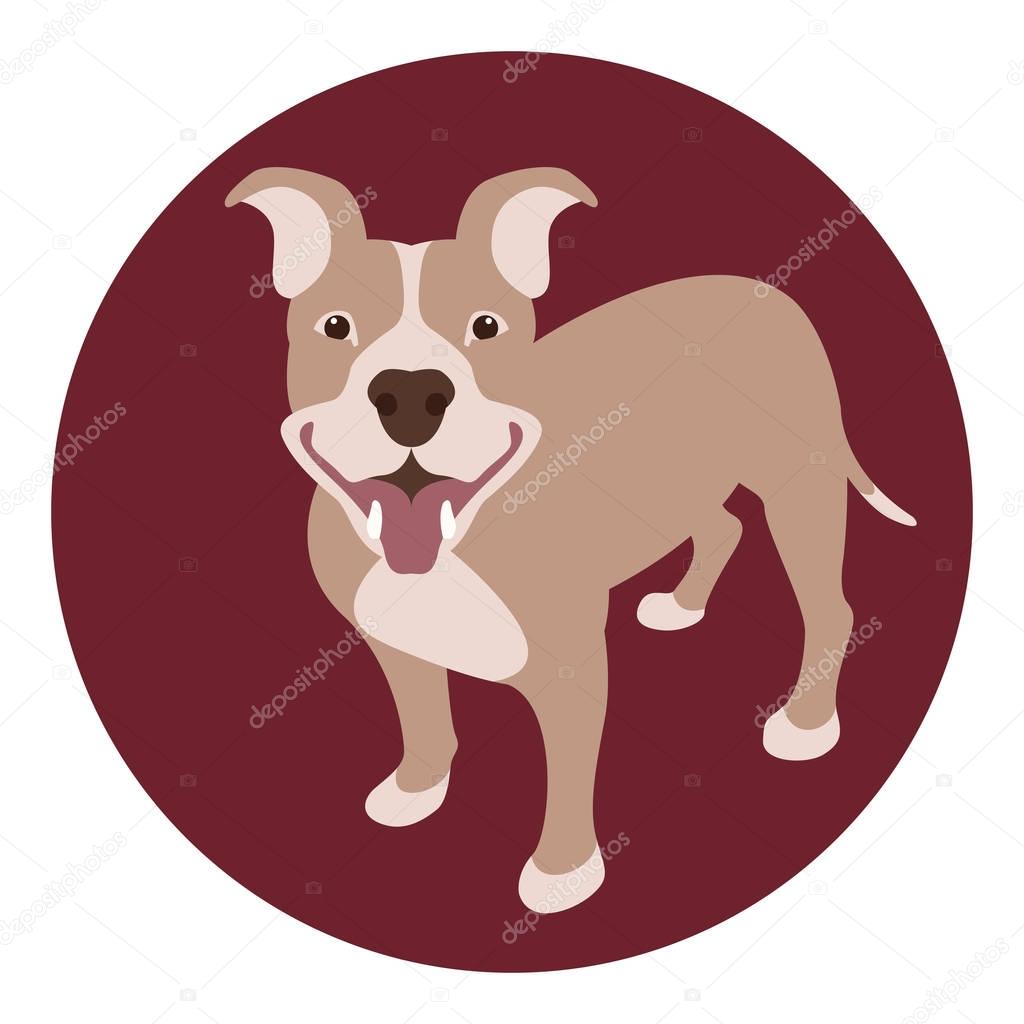 Staffordshire Terrier dog vector illustration 