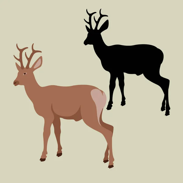 Venado vector ilustración estilo plano — Vector de stock