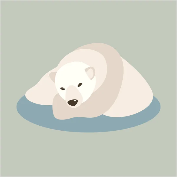 Ведмідь полярний Векторна ілюстрація стиль Фла — стоковий вектор