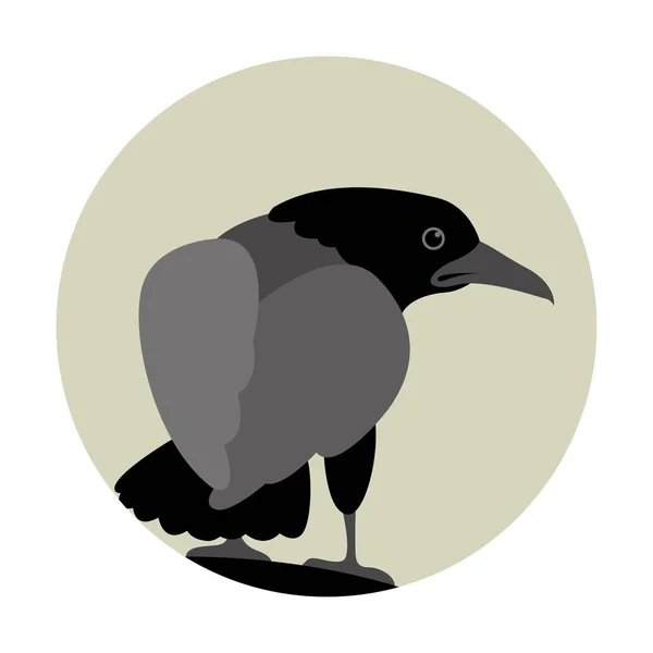 Raven vector ilustración estilo plano — Vector de stock