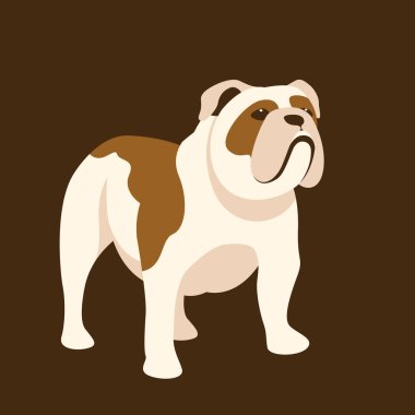 Bulldog vektör çizim tarzı düz