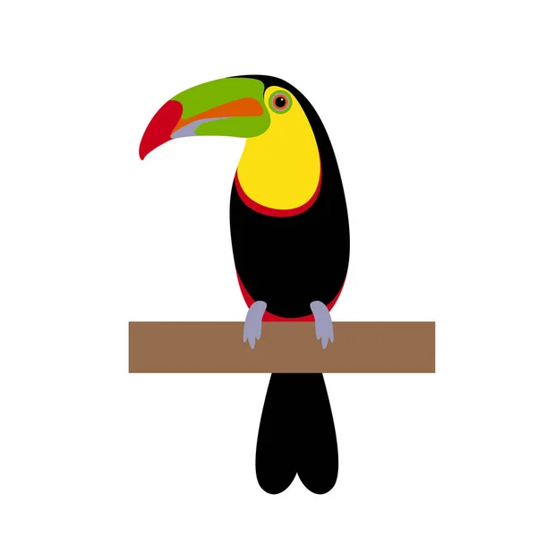 Toucan fågel vektorillustration — Stock vektor