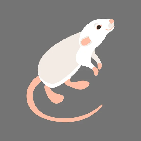 Крысиный векторный стиль иллюстрации — стоковый вектор