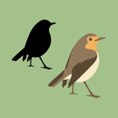 Robin vektör çizim tarzı düz set 