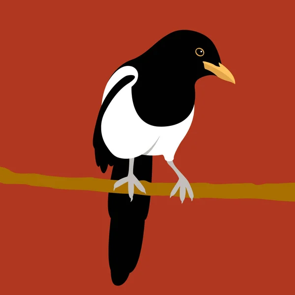 Magpie vector ilustração estilo plano — Vetor de Stock