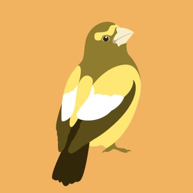 Kocabaş vektör çizim tarzı düz yan