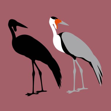 gerdanlı turna düz stil vektör çizim