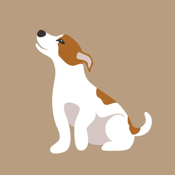 Terrier russell vector illustration style Flat — Stock Vector