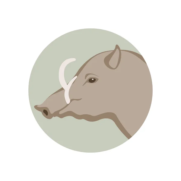 Warzenschweinkopf-Vektor-Illustration — Stockvektor