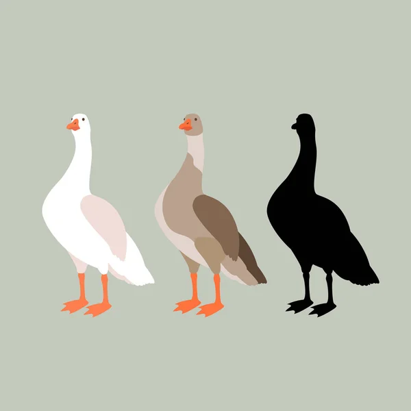 Goose vektor illustration stil platt set — Stock vektor