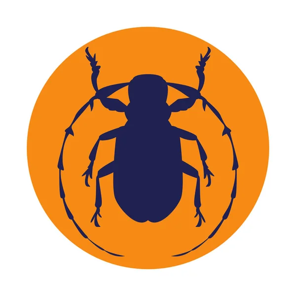 Gaya ilustrasi vektor kumbang datar - Stok Vektor