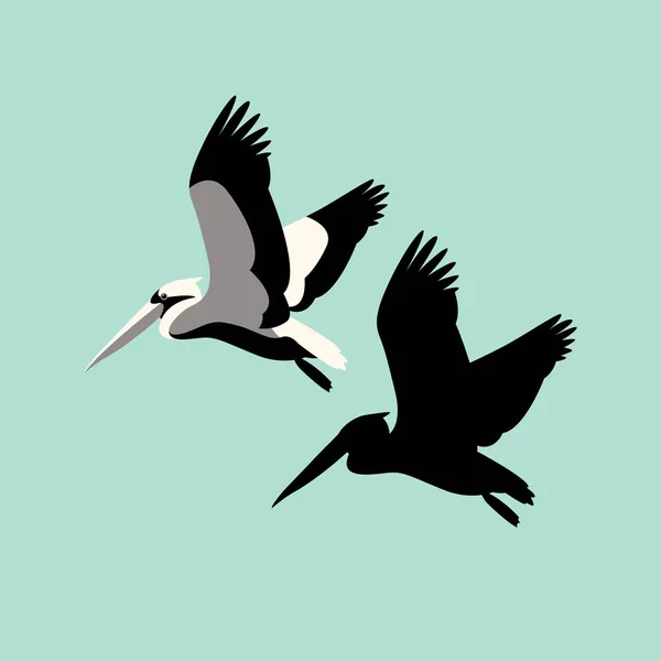 Pelican vector ilustración estilo plano — Archivo Imágenes Vectoriales