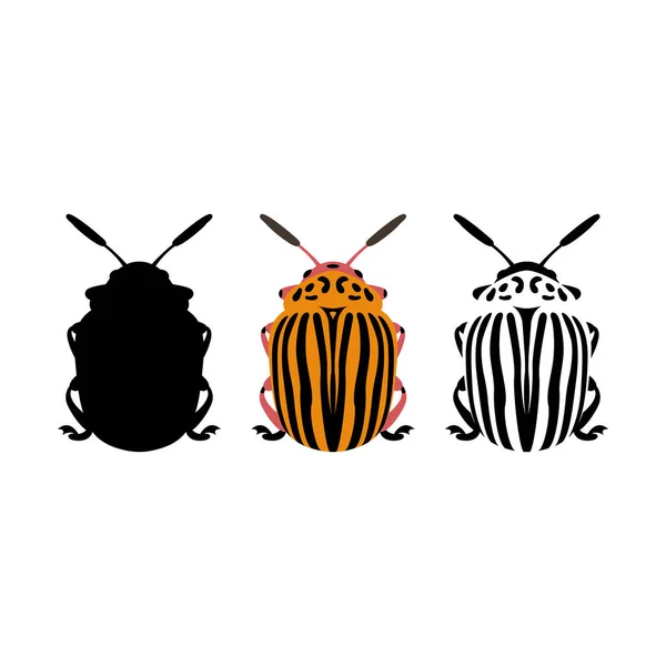 Colorado potato beetle vector illustration style Flat - Stok Vektor