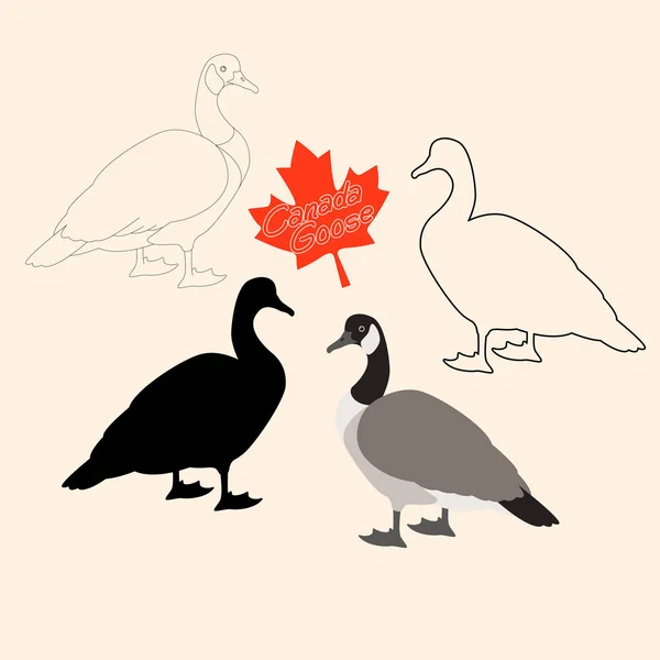 Estilo canadense de ilustração do vetor de ganso silhueta preta plana —  Vetores de Stock