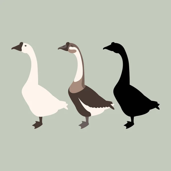 Gans vector illustratie stijl platte silhouet — Stockvector