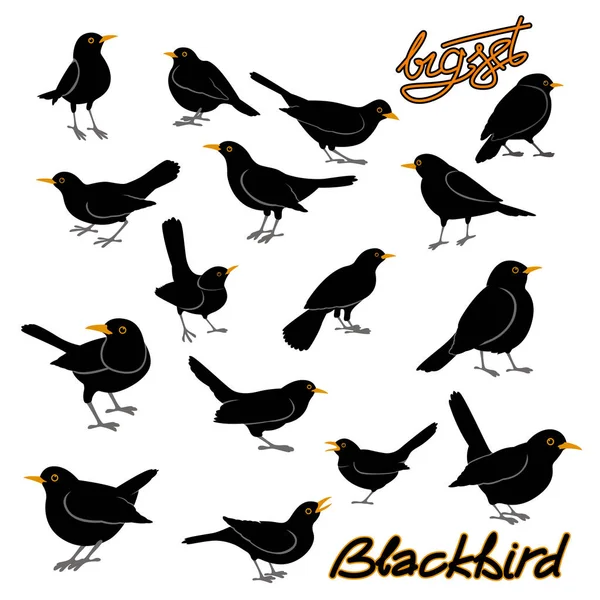 Blackbird style d'illustration vectoriel Set plat — Image vectorielle