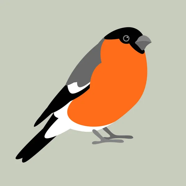 Стиль векторной иллюстрации птиц буллфинча — стоковый вектор