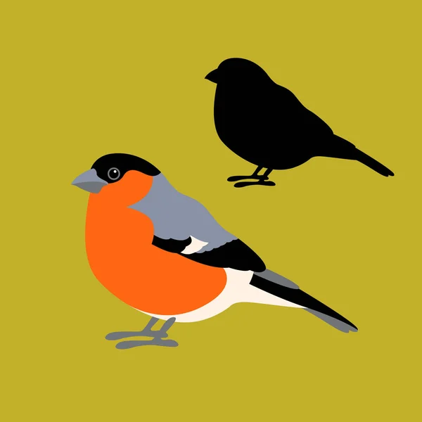 Bullfinch ave vector ilustración estilo silueta plana — Archivo Imágenes Vectoriales