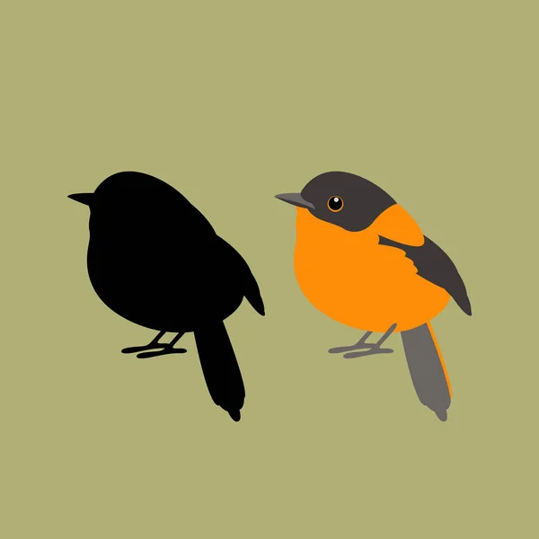 Preto laranja flycatcher vetor ilustração estilo silhueta plana — Vetor de Stock