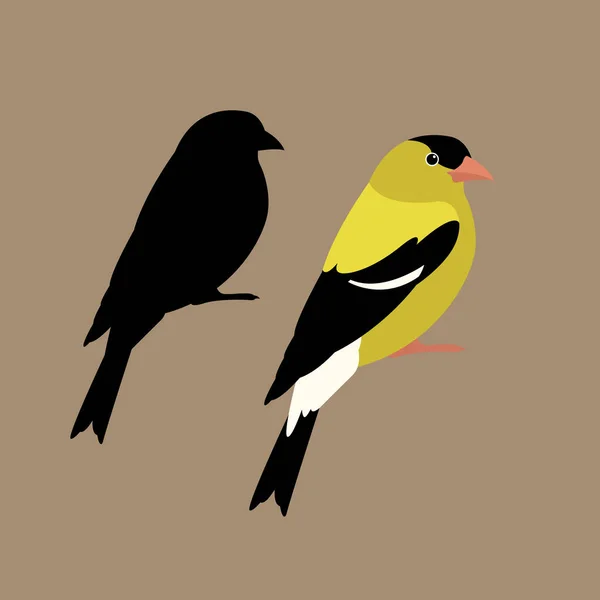 Americano goldfinch vetor ilustração estilo plano — Vetor de Stock