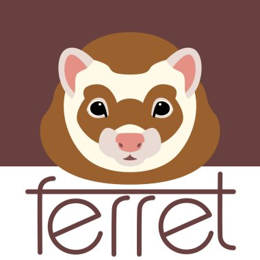 gelincik yüzey ön vektör çizim stili 