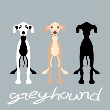 Greyhound köpek vektör çizim tarzı düz siluet ayarla  