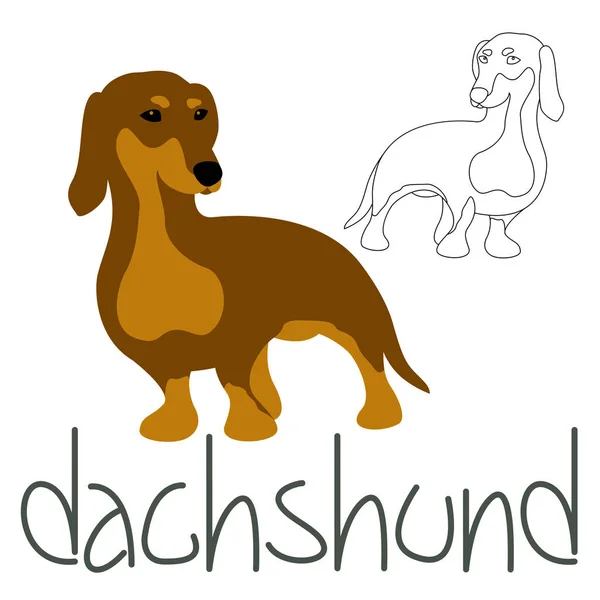 Dackel Hund setzte Vektor Illustration Stil — Stockvektor