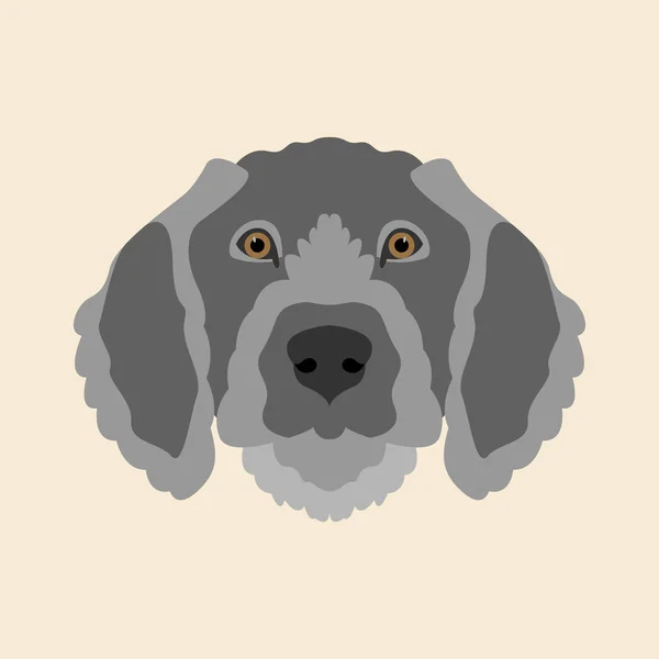 Aanwijzer hond gezicht vector illustratie stijl Flat — Stockvector