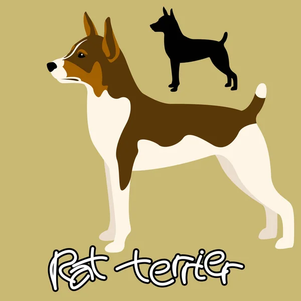 Rat terrier vector illustration black silhouette flat — Stock Vector