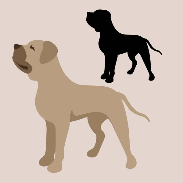 Pitbull terrier vecteur illustration style plat noir silhouette — Image vectorielle