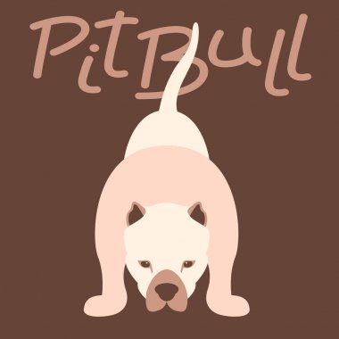 Pitbull terrier vektör çizim tarzı düz