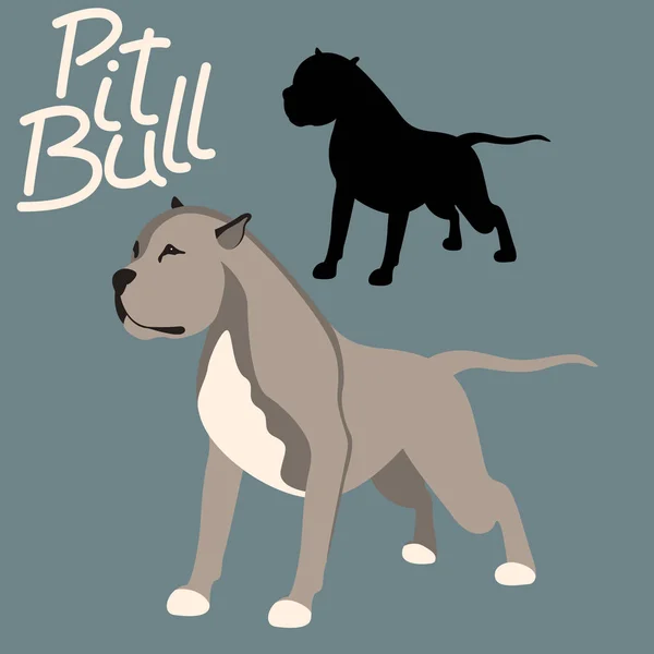 Pitbull terrier vecteur illustration style plat noir silhouette — Image vectorielle