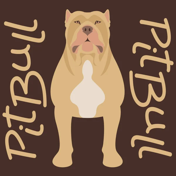 Pitbull terrier vector ilustración estilo plano — Vector de stock