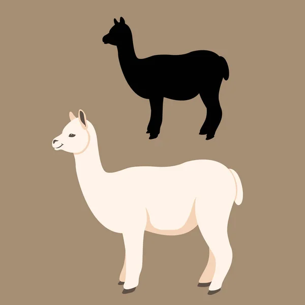 Lama vector ilustración estilo silueta plana — Vector de stock