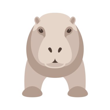 su aygırı vektör çizim tarzı düz 