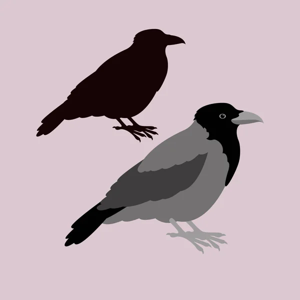 Crow vector ilustración estilo silueta plana — Archivo Imágenes Vectoriales